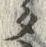 文字タ