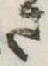 位置 確認된 さ