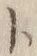 字ト
