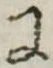 Đã định vị 𛂌