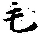 毛 위치 확인됨