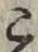 文字 こ