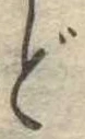 位置 確認된 ど