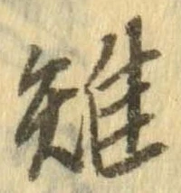 雉 위치 확인됨