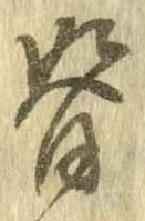 背 위치 확인됨