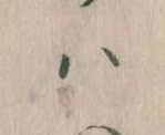 已定位𛂞