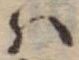 Đã định vị 𛂞