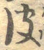 已定位皮