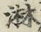 Chữ 淋