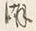 Character 潮
