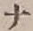 글자 ナ