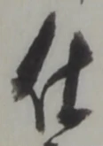已定位仕
