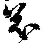 茂 위치 확인됨