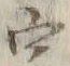 Chữ 字