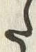 “た”字