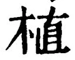 글자 植