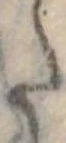 Đã định vị 𛁠