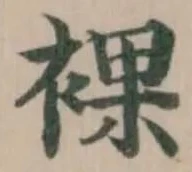 裸 위치 확인됨