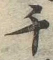 千 위치 확인됨