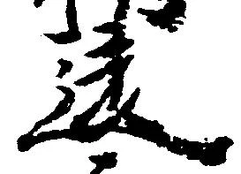 位置 確認된 違