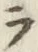 글자 ラ