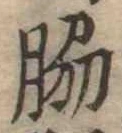 Đã định vị 脇