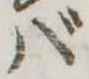 バ 위치 확인됨
