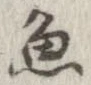 魚，已得其位