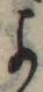 位置定マレル未定