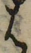 位置定マレル𛂦