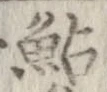 鮎の位置