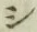 字シ