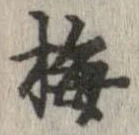 梅 위치 확인됨