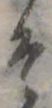 そ 위치 확인됨