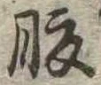 腹 위치 확인됨