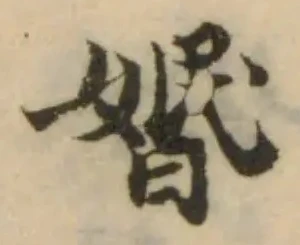 婚の位置