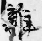 雑の位置
