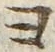 𡨸ヨ