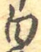 位置 確認된 白