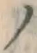字ノ
