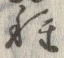 已定位種