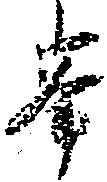 峯 위치 확인됨