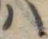 𛂞の位置