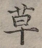 草 위치 확인됨
