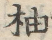 Character 柚