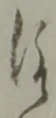 治 위치 확인됨