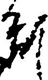 位置 確認된 乱