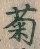 글자 菊