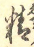 精 위치 확인됨