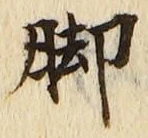 Character 脚